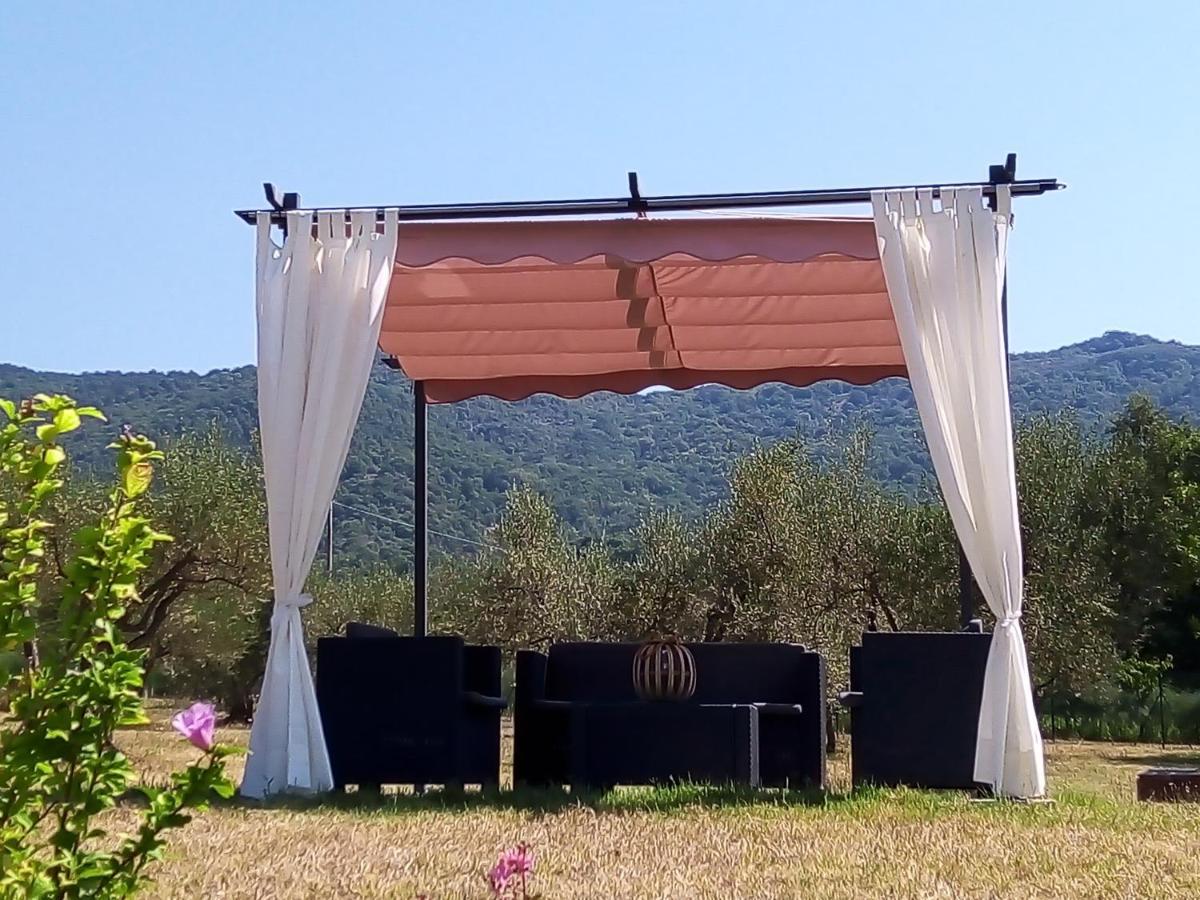 Casale I Burroni Lägenhet Arezzo Exteriör bild