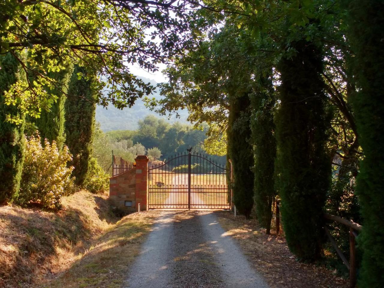Casale I Burroni Lägenhet Arezzo Exteriör bild